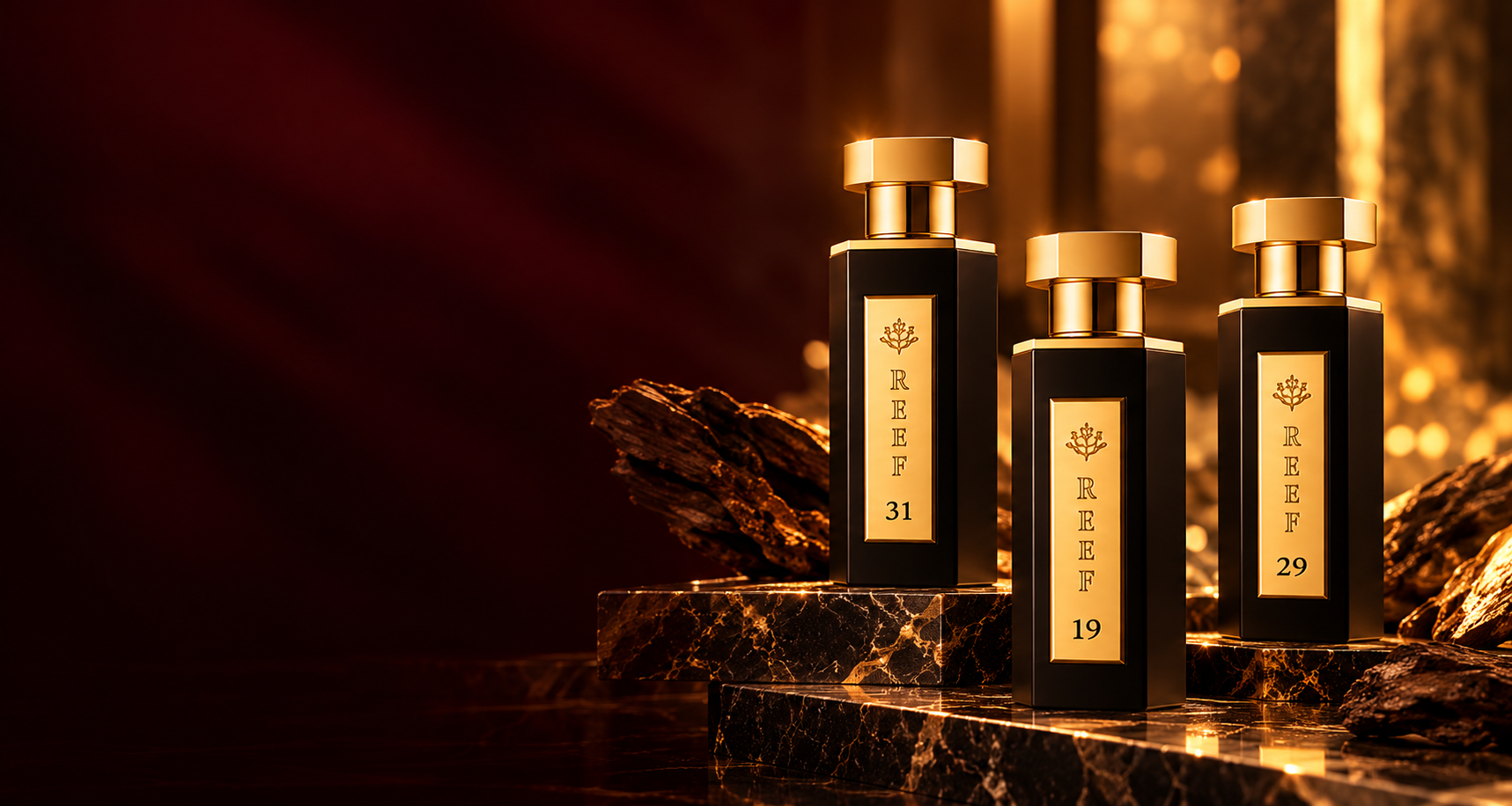 Discover the REEF collection